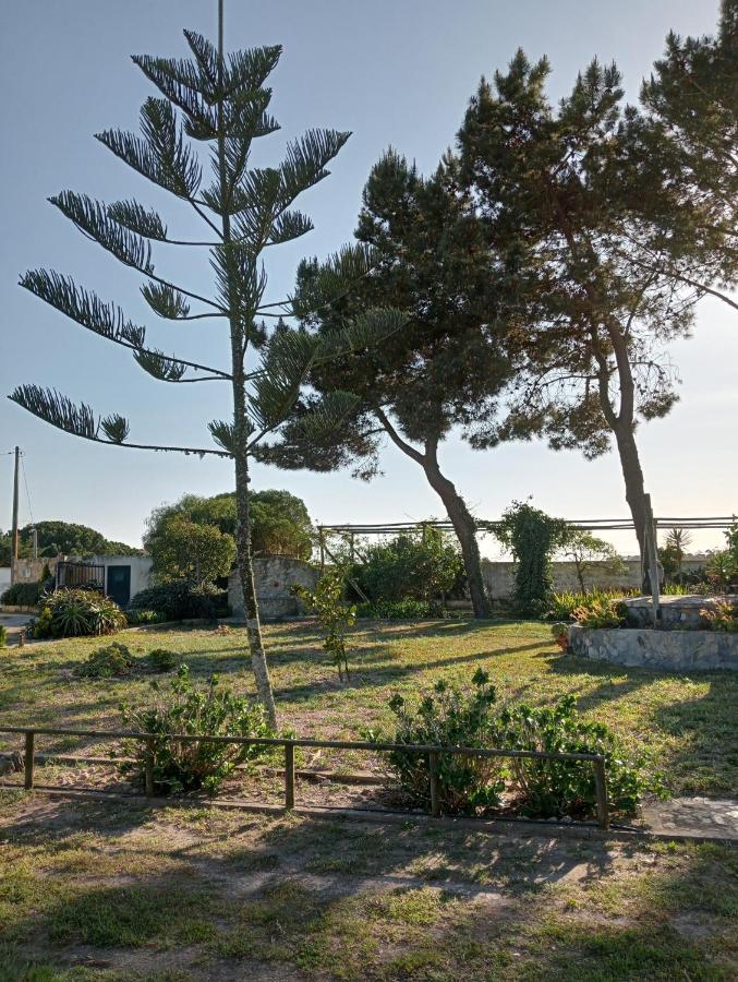 Brejos Da Comenda By Stay In Alentejo Вила-Нова-де-Мильфонт Экстерьер фото